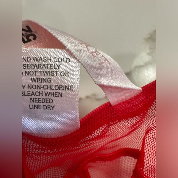 Victoria’s Secret two piece Silk lingerie - Picture 6 of 12